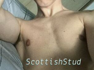 Scottish_Stud