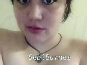 Sebi_Barnes