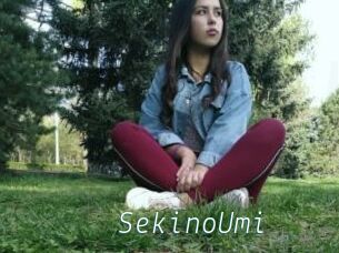 SekinoUmi