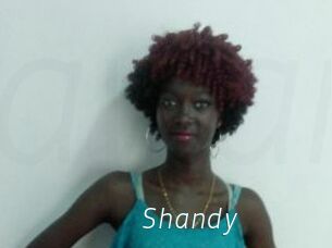 Shandy