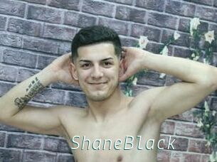 ShaneBlack