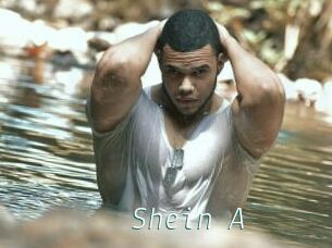 Shein_A