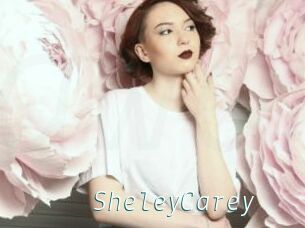 SheleyCarey