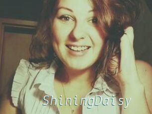 ShiningDaisy