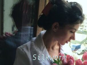 Silkworm