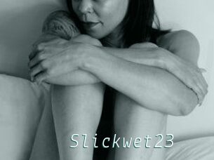 Slick_wet23