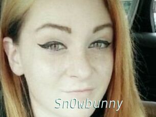 Sn0wbunny
