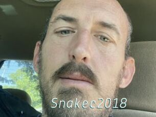 Snakec2018