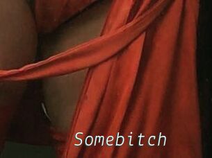 Somebitch