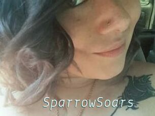 SparrowSoars