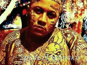 SpiderTheSnake