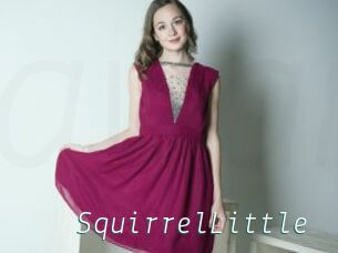 SquirrelLittle