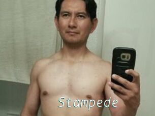 Stampede