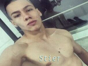 Stier