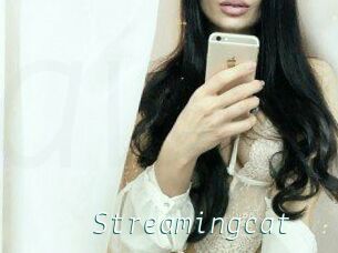 Streamingcat