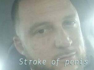 Stroke_of_penis