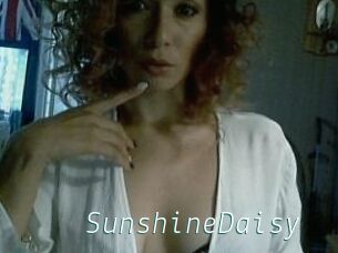 SunshineDaisy