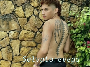Salvatorevega