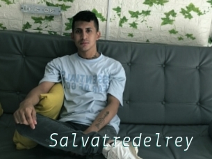 Salvatredelrey