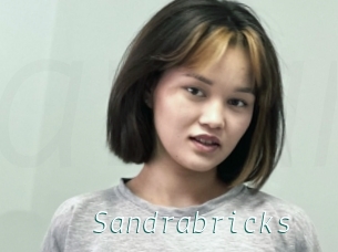 Sandrabricks