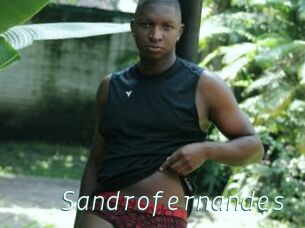 Sandrofernandes