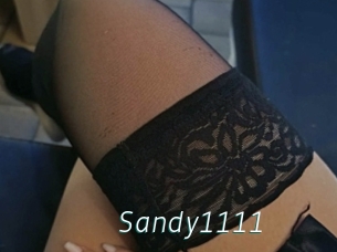 Sandy1111