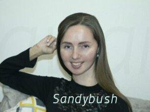 Sandybush