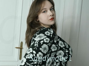 Sandymodel