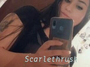 Scarlethrush