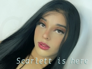 Scarlett_is_here