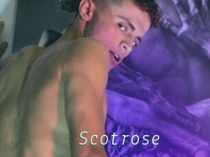 Scotrose