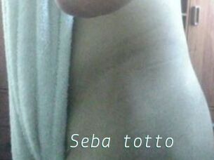 Seba_totto