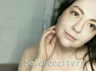 Selenacartery