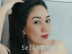 Selindongel