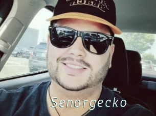 Senorgecko