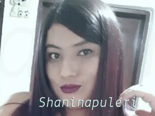 Shaninapuleri