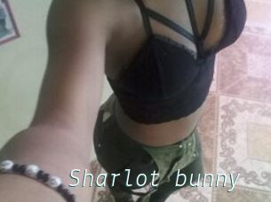 Sharlot_bunny
