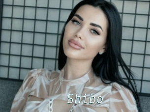 Shibo