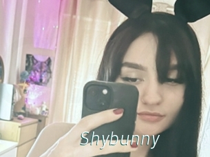 Shybunny