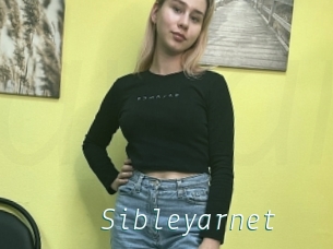 Sibleyarnet