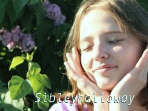 Sibleyhalloway