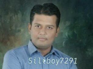 Siliboy7291