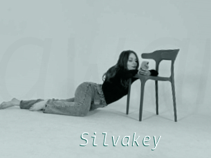 Silvakey