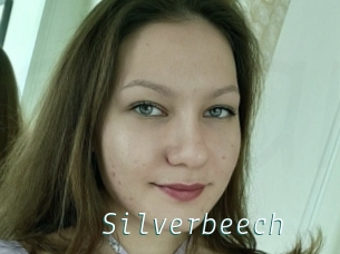 Silverbeech