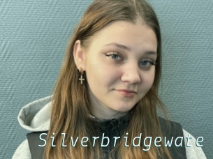 Silverbridgewate