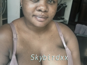 Skybirdxx