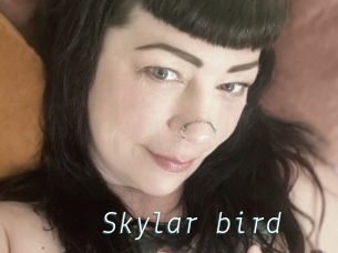 Skylar_bird