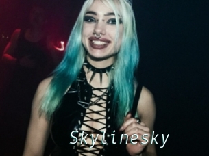 Skylinesky