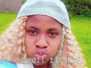 Small_tits018