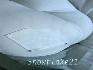 Snowflake21